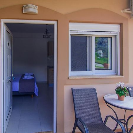 Irene Studio Panorama Apartamento Palaiochora Exterior foto